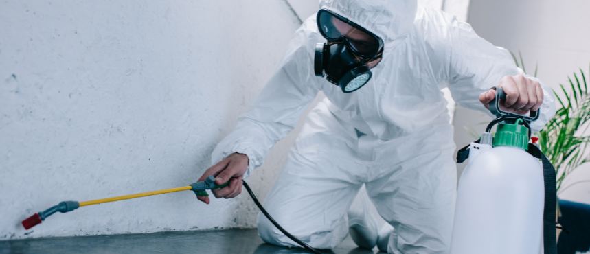 Pest control service